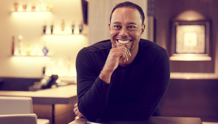 Tiger Woods the Golfer