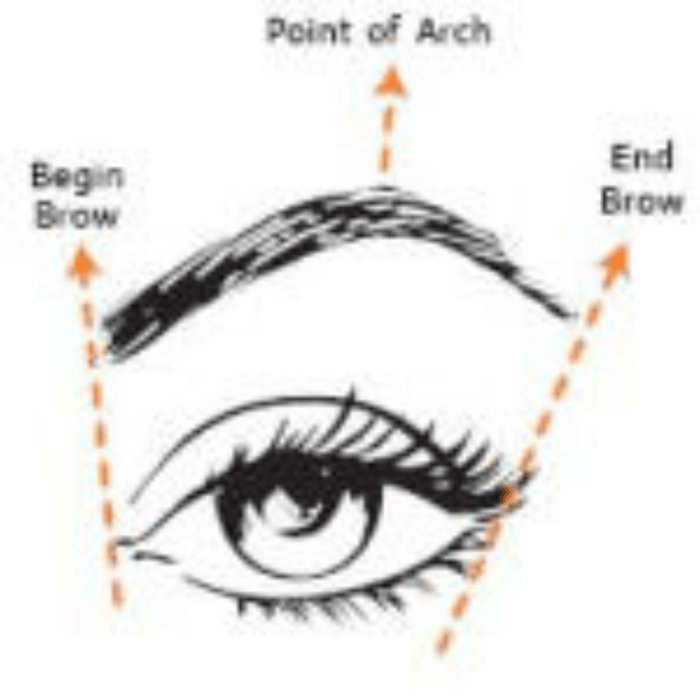 Shape Your Eyebrows