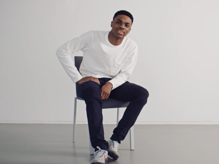 GoFundMe Vince Staples