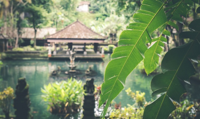 Bali