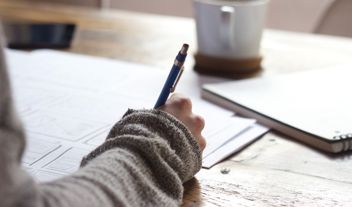 Essay help