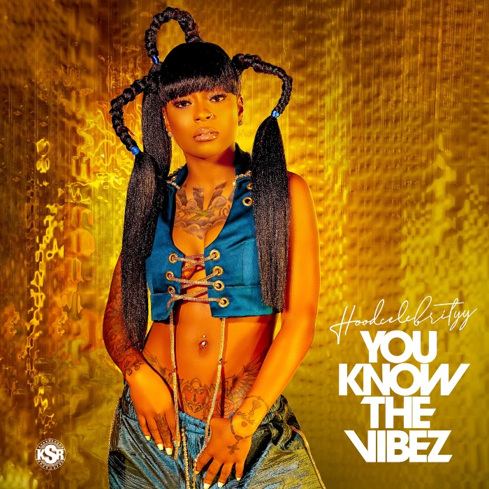 HoodCelebrityy You Know The Vibez Ep cover