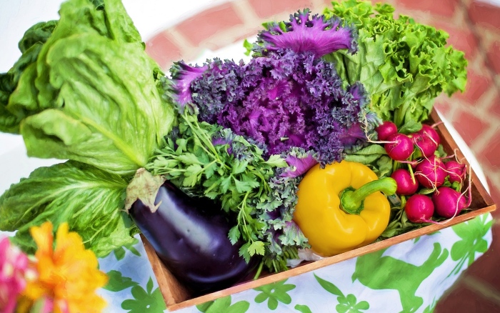 Organic Products