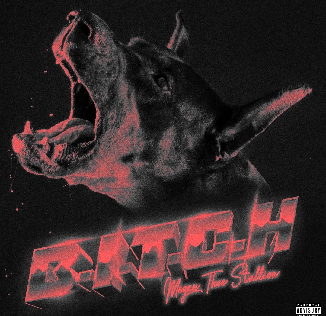 Megan Thee Stallion B.I.T.C.H song