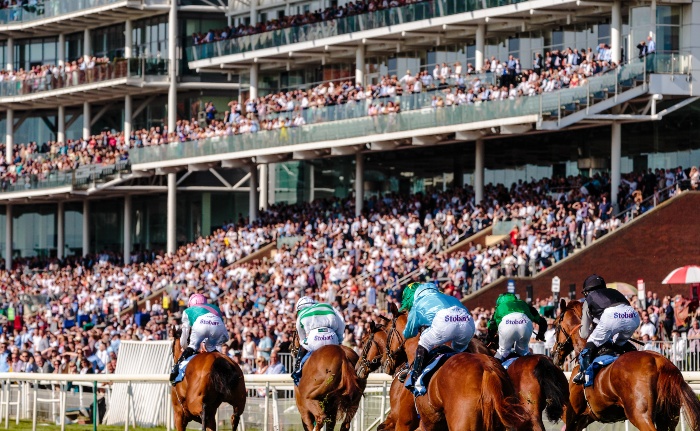 Sports Betting Explained | How to Bet on Sports