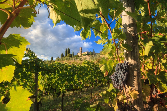 Chianti