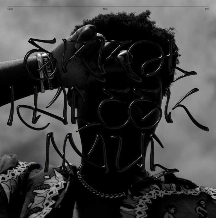 Haleek Maul Errol album cover