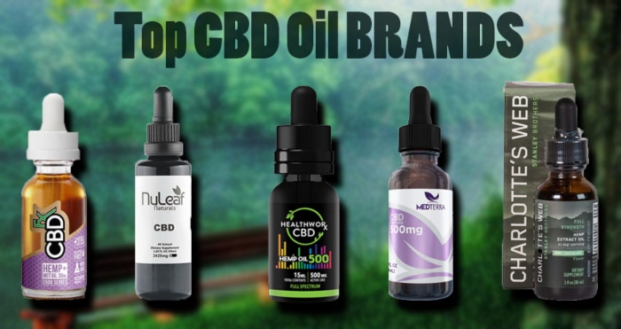 Top CBD Oil Brands
