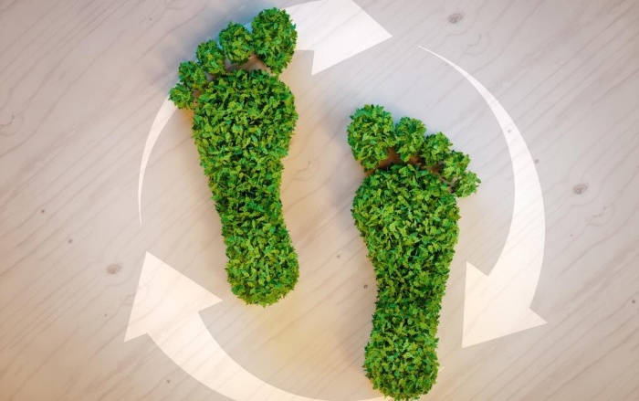 Become Carbon Neutral