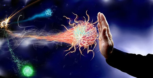 Supplements Can Improve Your Immune System