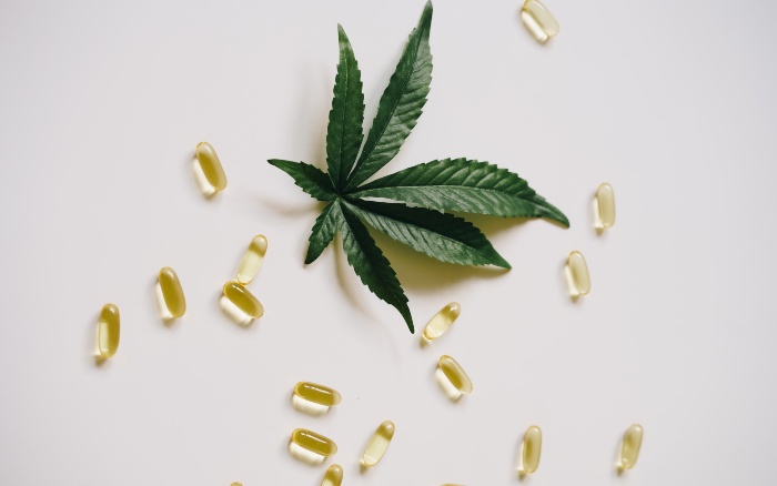 CBD Capsules