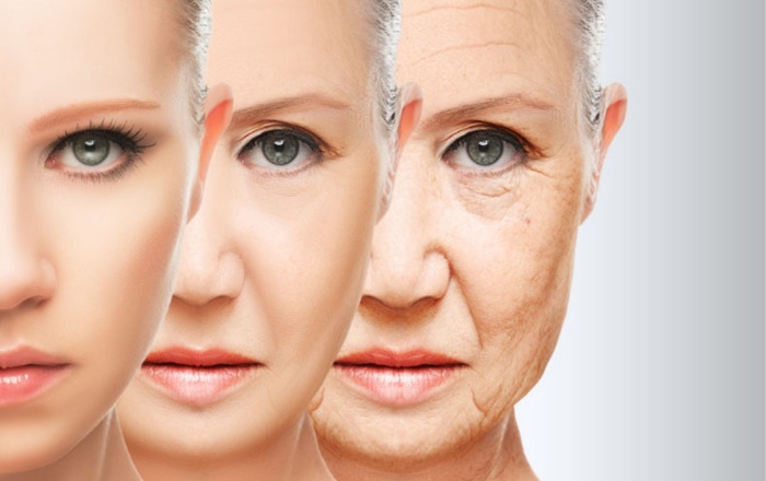 Anti-Aging Cream