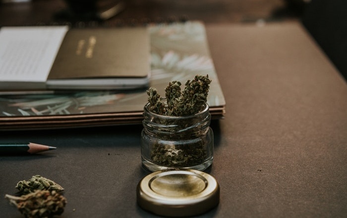 Cannabis Education Programs