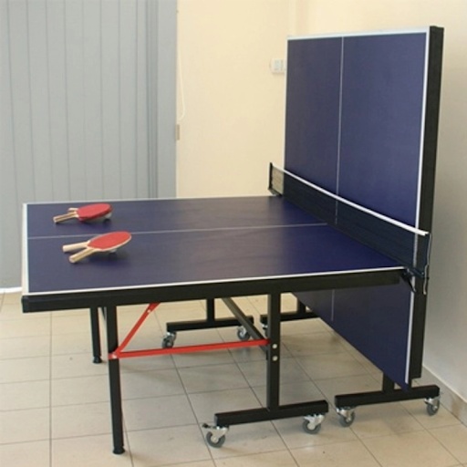 Buy A Ping Pong Table
