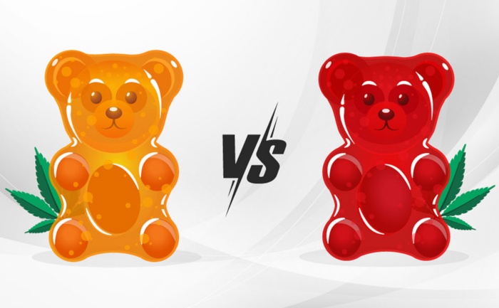 Hemp Gummies vs CBD Gummies