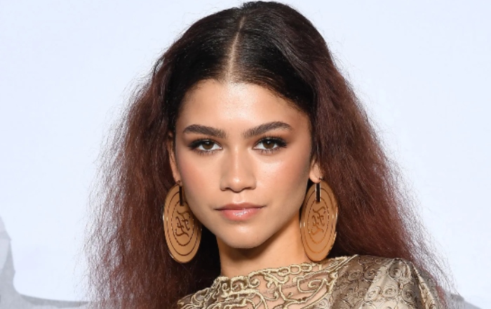 Zendaya pregnant