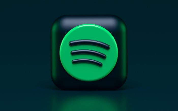 Best Spotify Promotion Services