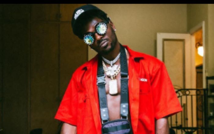 Antonio Brown Exposing Himself in Dubai Pool