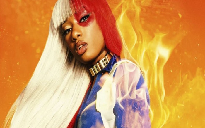 Megan Thee Stallion sue bloggers