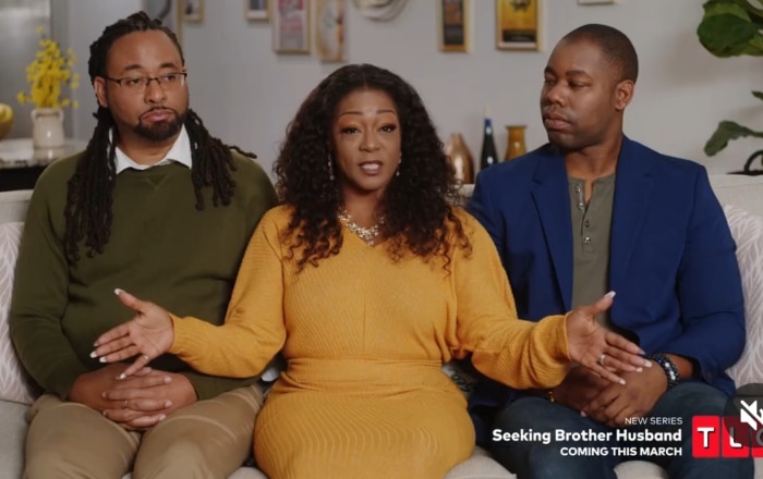 Seeking Brother Husband series
