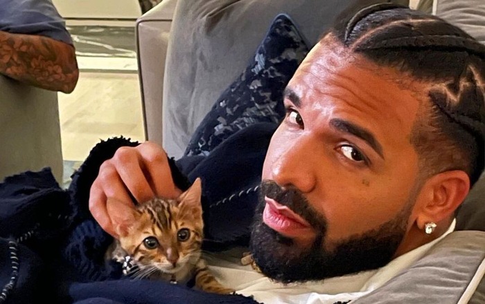 Drake hairstyle