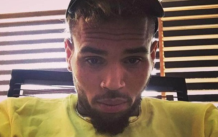 Chris Brown Doesn't Like Black Women