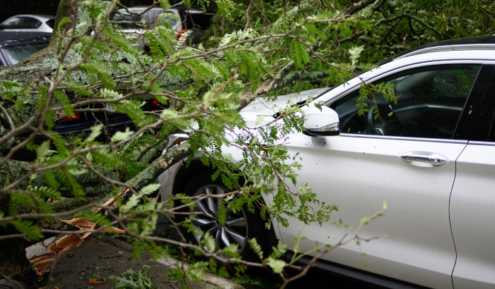 Hurricane Insurance