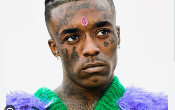 Lil Uzi Vert Cleared of Dognapper Charges - Cops Need to Do Better