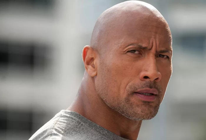 the rock wwe
