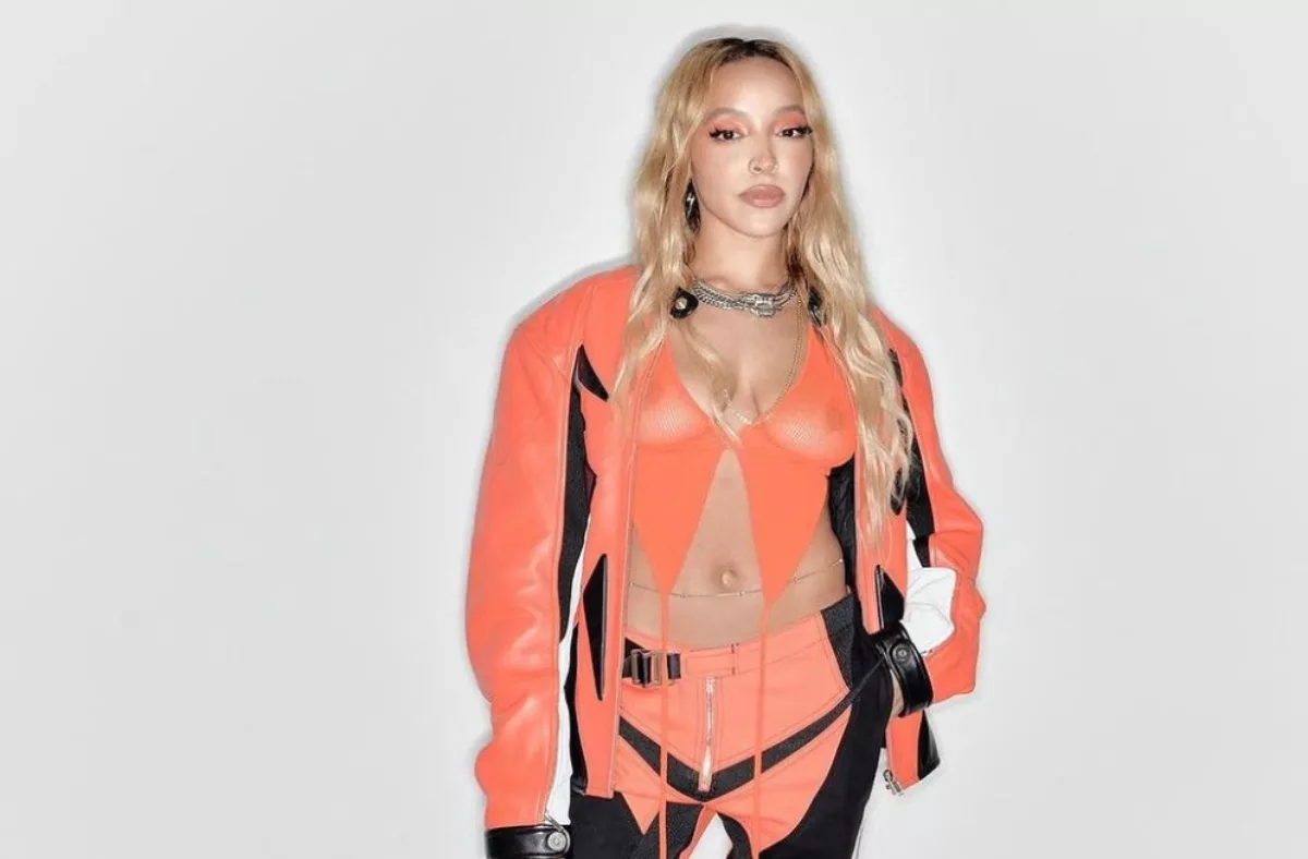 Tinashe Responds To Chris Brown clapback on social media