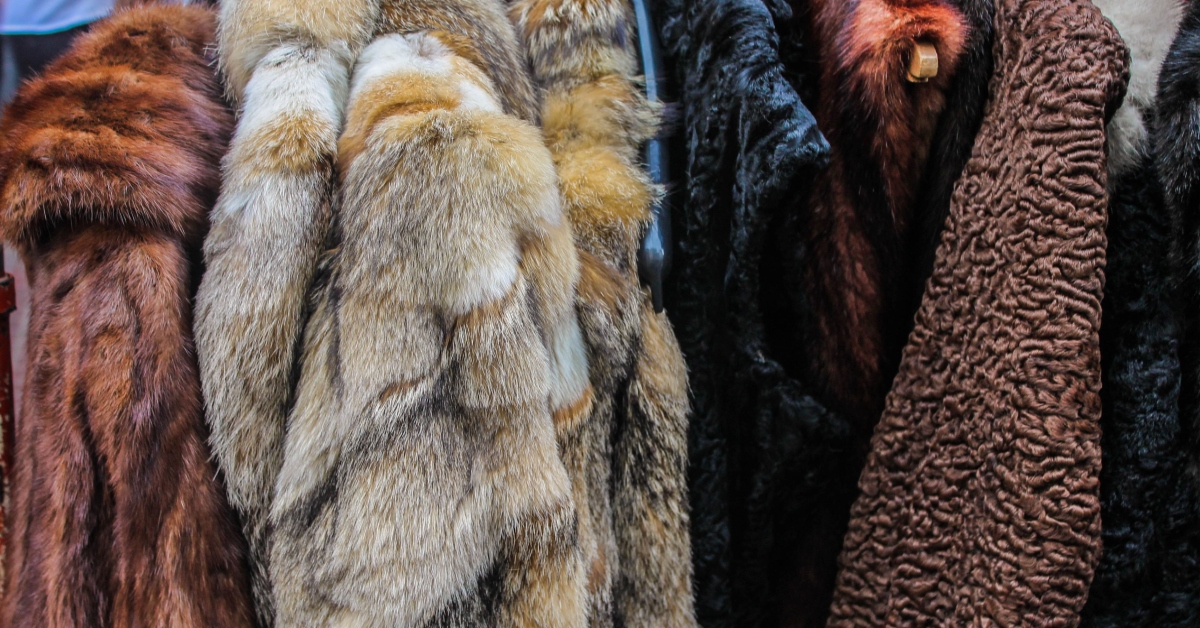 fur coats
